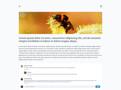 Comment system for upcoming project comment iceland ui web web design website