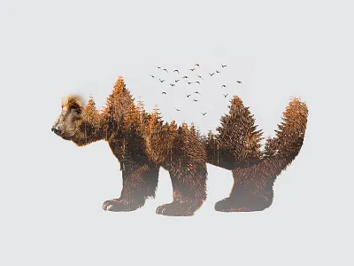 Bear Double Exposure animal art artwork bear creative design digital digital art double exposure forest graphic graphic design image inspiration minimal photo art photo manipulation photoshop