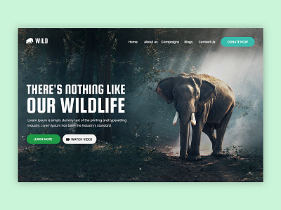 Landing Page dailui daily ui challenge design landing page ui ui design ux web design