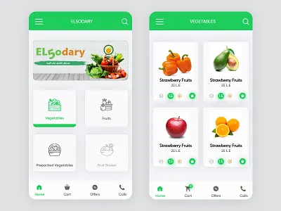 Home Page Screen app brand design fruit app fruit icons graphic icon illustration logo ui ux web