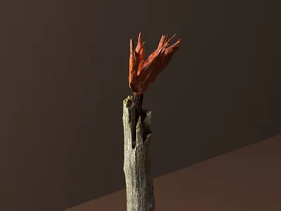 Scabra 3d cinema4d octane photogrammetry render