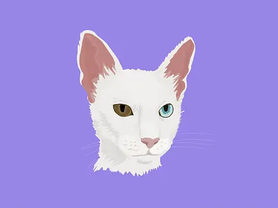 Neji adobe illustrator creative design illustration pet vector
