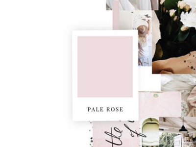 Mood Board branding female designers logo design mood board