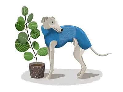Cosy Boy cartoon character colour design digital digital art dog drawing garden greyhound hand drawn illustration italian greyhound nature pet pet adoption pet business pet portrait plants whippet