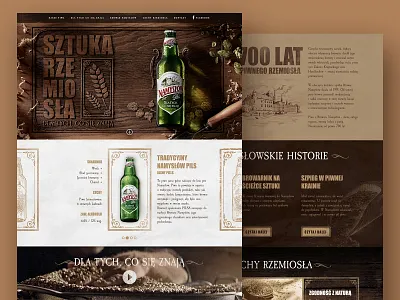 Namyslow Website Design design graphic design illustration typography ui ux web webdeisgn