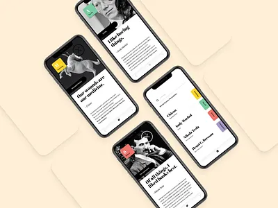 Biography App app apple art challenge clean design famous famous design fun identity illustration mobile photography retro science simple typography ui ux vector