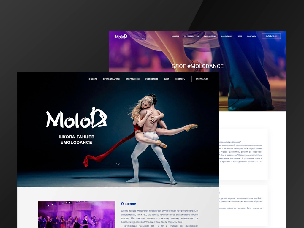 Example of MoloDance website