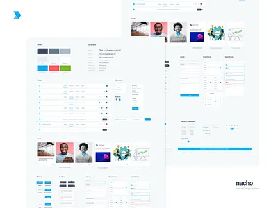 Design Language System - DMI brand guideline branding dashboard design language system design system digital marketing institute dmi libraries ray doyle sketch typography ui ux web web