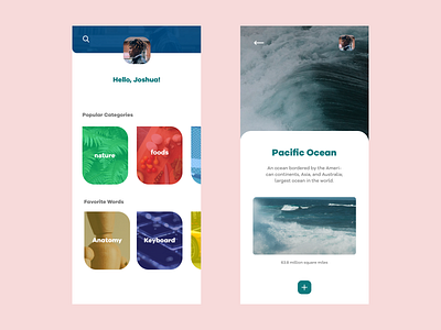 Picture Dictionary App app debut flat invoice ios minimal ui ux