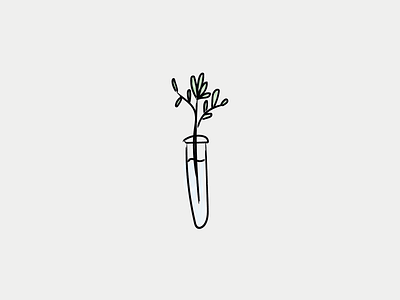 The wall vase adobe adobe illustrator branding branding design concept concept design conceptual design flower graphic graphic design graphicdesign graphicflower green illustration illustration art illustrator vector visualisation water