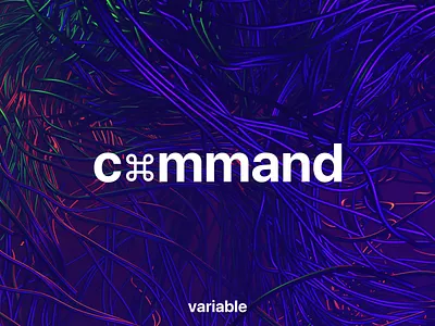 Command development finance technology variable