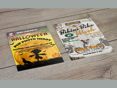 Fundraiser Fliers For Animal Shelter advertisements advertising advertising design flyer flyer design flyer designs illustration photoshop