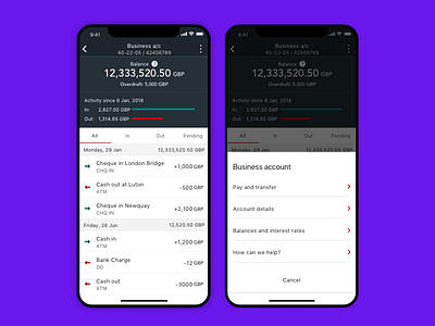 Native iOS and Android app interaction design ui deisgn ux design