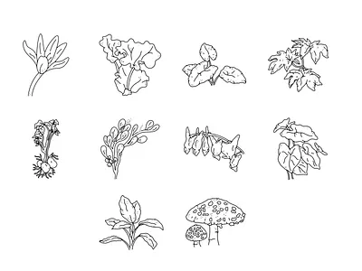 Sinister Garden Booklet Illustrations black white illustration line art plant illustration plants