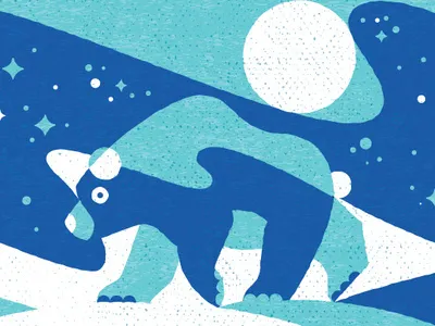 Northern Bear bear geometric illustration minnesota north northern lights sky stars texture