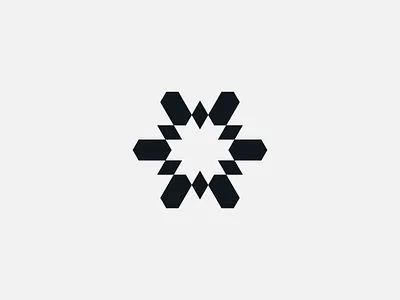 Snowstar brand design branding crystal icon logo shapes snow star logo vector