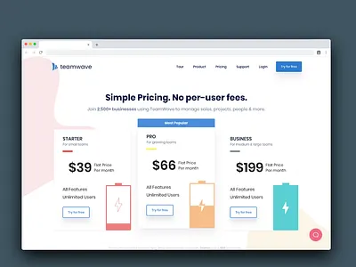 New TeamWave Pricing app branding crm css design html pricing project management saas saas design teamwave ui ux