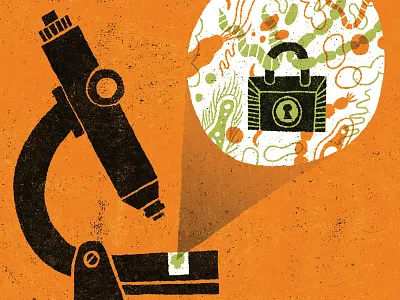 Risk Averse editorial illustration illustration research