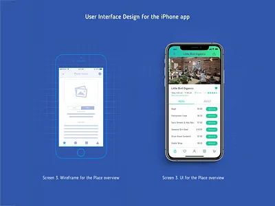 UI design for the iPhone app app design blue green ui ui design user interface design wireframe