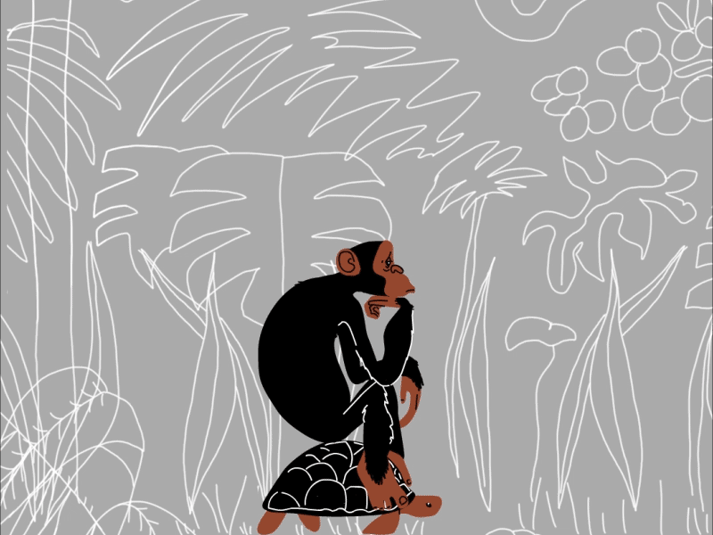 Monkey & tortiose 2d animation animation character animation chimpanzee classic animation contrast jungle monkey motion graphics rainforest swinging tortiose turtle walkcycle