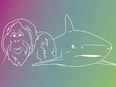Orangutan and Shark 2d animal aquarium endangered illustration line wildlife zoo