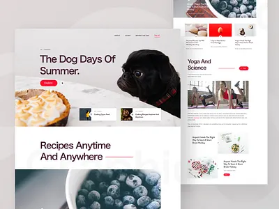 Web Article Website layout article blog post bold typography content dog food news post recipe web design web layout