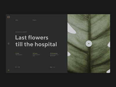 Last Flowers till the hospital art composition design flat geometric geometric design grid header landing page layout leaf minimal minimalism nature plants typo typography ui ux web web design