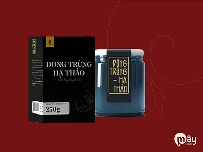 LH Biohealth - Cordyceps Packaging branding branding design cordyceps cordycepspackaging design a day graphic design logo maydesign package package design packaging packaging design thietkecotam