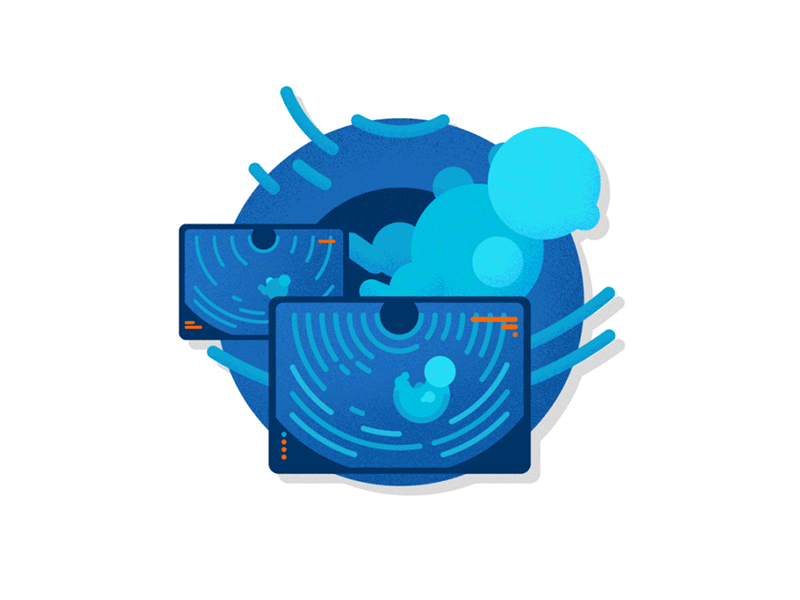 Morphology Ultrasounds - Animated Icon 2d after effects animation design digital flat icon illustration medical app pregnancy ui ultrasound vector