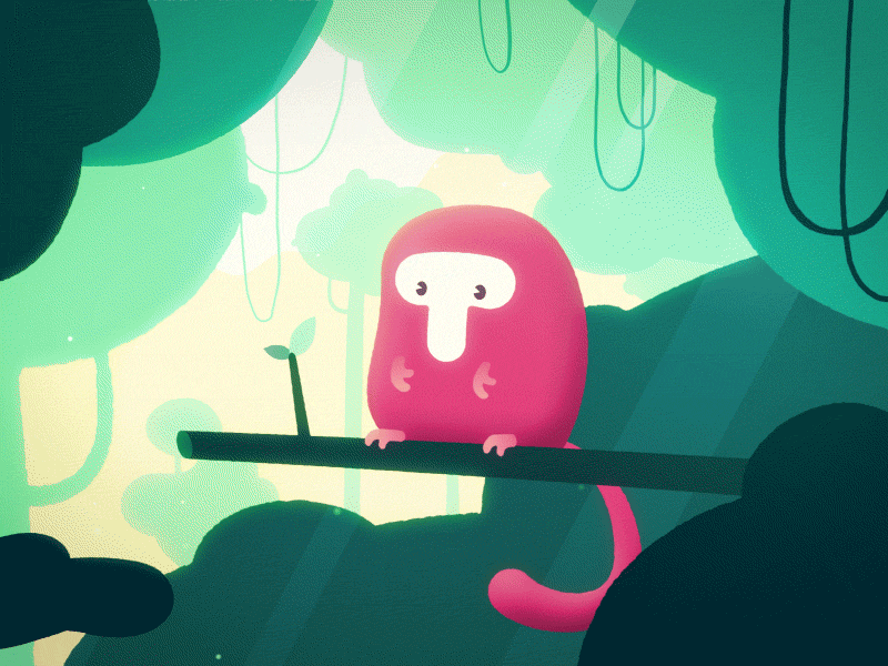 Tumbili after effects animal kingdom animation character illustration jungle motion design