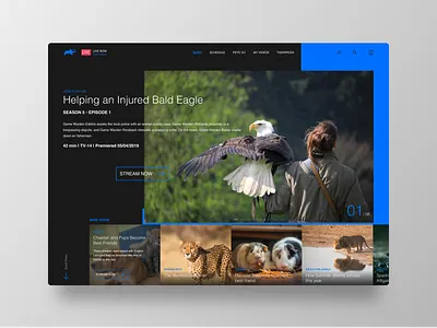 Animal Planet Website Revisited conception design dribbble best shot landing page redesign typography ui visualdesign visuals