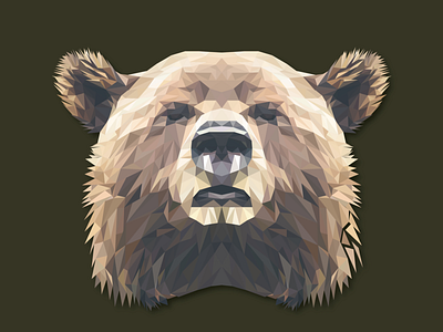 Low Poly Art bEAR bear design flat illustration low lowpoly lowpolyart vector