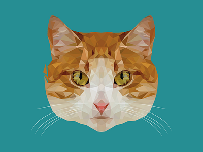 Low Poly Art Cat cat cats design flat illustration low lowpoly lowpolyart summer summertime vector