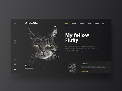 Fluffy homepage design home page ui ux