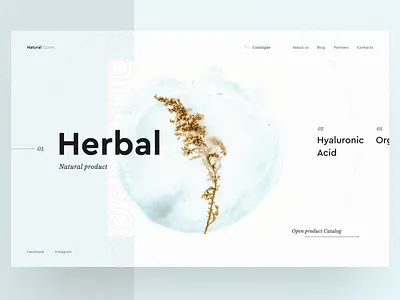 Natural cosmetics concept cosmetics ecommerce herbal makeup minimal store typography ui ux web