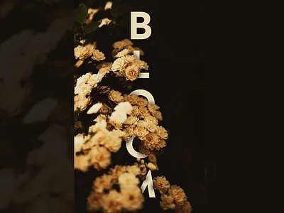 Bloom bloom color design floral flower graphic design madera monotype nature organic pantone type typeface typography