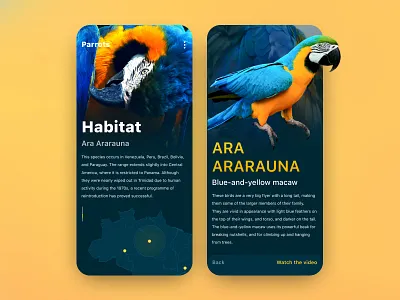 Zoo anthology UI app color colorful custom design interaction interface interface design mobile mobile ui mobile uiux ui ui ux uiux design ux