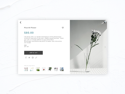 Daily UI #012 E-Commerce Shop (Single Item) challenge daily ui 012 dailyui design e commerce figma figmadesign ui