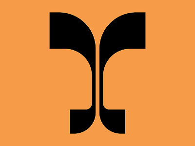 Letter Y artdirection calligraphy design lettering lettery type typography