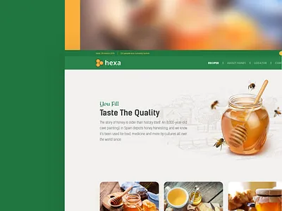 Honey Store Web UI bee beestore beweb daily green homepage honey honeybee honeystore landingpage magazine orange shot store tasarim ui ux vebsitesi web website