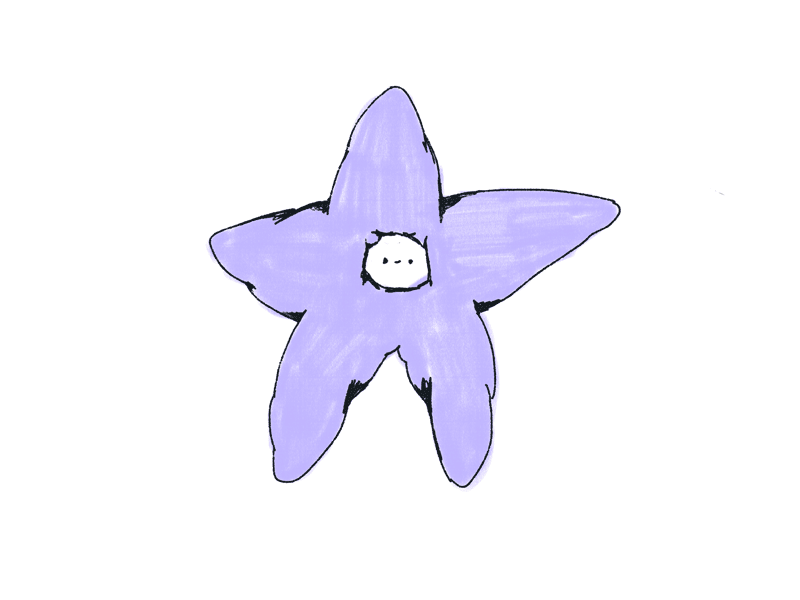 Ocean Talks animation art character character design design digital doodle frame by frame animation gif illustration starfish