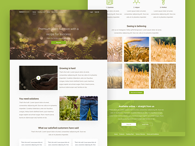 Growing Nutrient Landing Page for PerfectGrower desktop ecommerce ecommerce shop figma garden grow growth home page home screen landing page line minimal nutrient product responsive soil web website