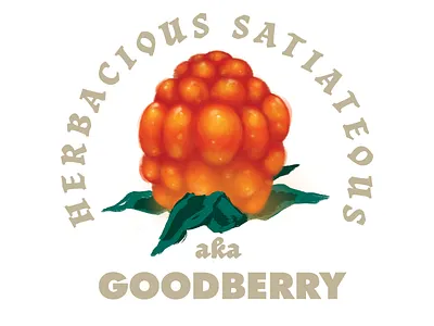 Goodberry badge dnd dungeons and dragons gaming illustration texture