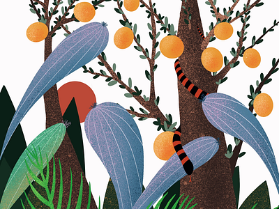 Forest