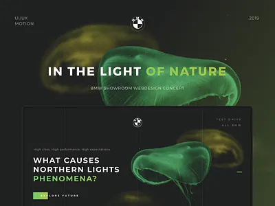 BMW | IN THE LIGHT OF NATURE bmw car clean concept design grid promo site typography ui ux web