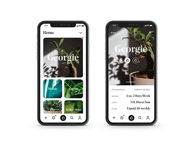 Plant App app plant plants ux uxdesign uxui xd