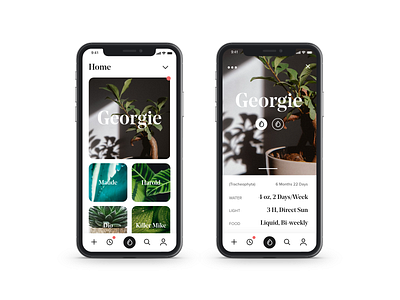 Plant App app plant plants ux uxdesign uxui xd