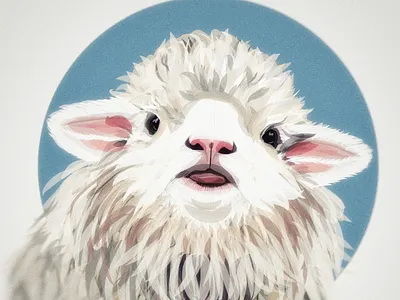 L A M B |læm| [Ovis aries, family Bovida Caprinae.] digital art drawing farm animal illustration lamb olbap olbap design olbapdesign vector vector illustration
