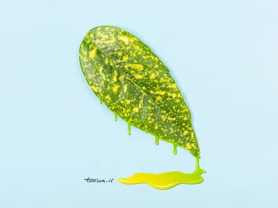 树液 creative drawing illustration leaves liquid painting photography still life tomson.li