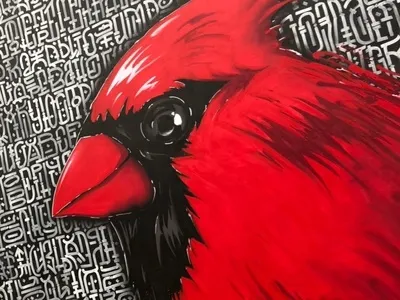 RED CARDINAL / Bird and Geometric typography art calligraffiti calligrafia cyrillic design graffiti illustration lettering typography typography art